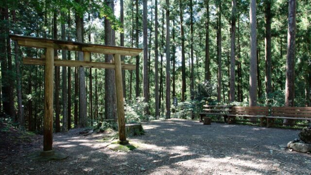 鬼滅の刃の痣（あざ）が出た人一覧7人