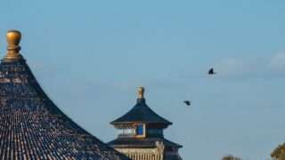 趙峩龍は朱海平原14日目に信へ敗れ戦死