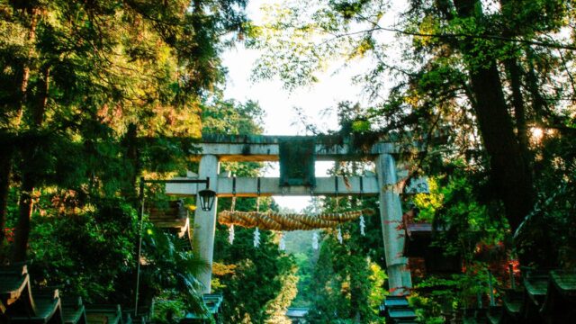 魘夢（えんむ）の性別は本編で明言なし