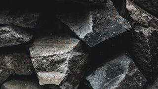 不滅のあなたへのフシの正体は