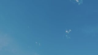 傅抵（ふてい）は死亡していない