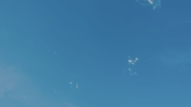 傅抵（ふてい）は死亡していない