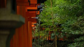 玉壺（ぎょっこ）の死亡は14巻121話