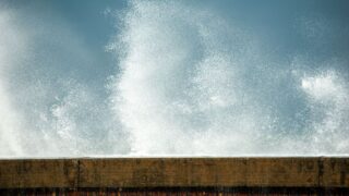 ハートの海賊団メンバー一覧！全21人中9人が判明、ローは1117話で生存確認・ポーラータング号は撃沈