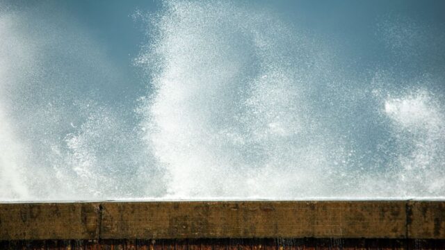 ハートの海賊団メンバー一覧！全21人中9人が判明、ローは1117話で生存確認・ポーラータング号は撃沈