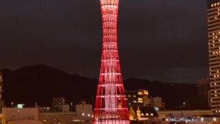 ヒロアカのデクの個性はどうなった