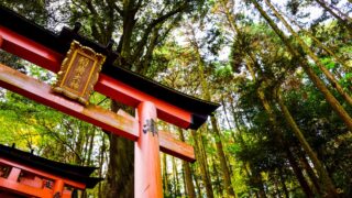 鬼滅の刃で鬼になる方法は無惨の血だけ