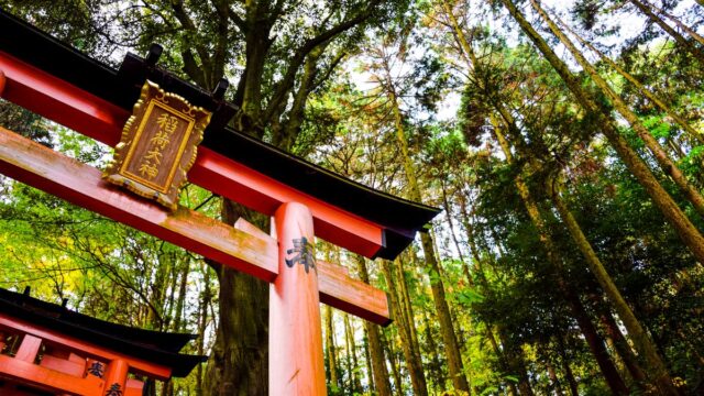 鬼滅の刃で鬼になる方法は無惨の血だけ