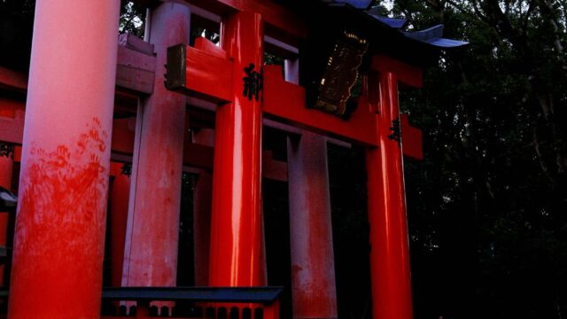 伊之助とアオイの結婚は作中で明言なし