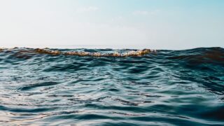 ワンピースのイスカは死亡しない