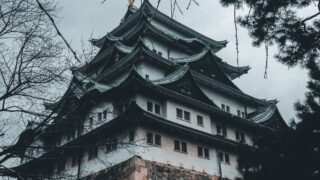 胡蝶しのぶの死亡は17巻143話