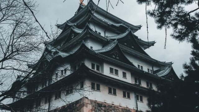 胡蝶しのぶの死亡は17巻143話