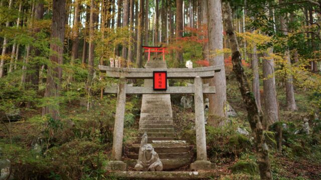 稀血（まれち）は清と不死川実弥の2人だけ
