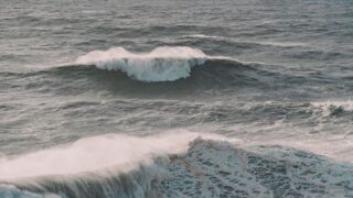 ミホークは死亡していない