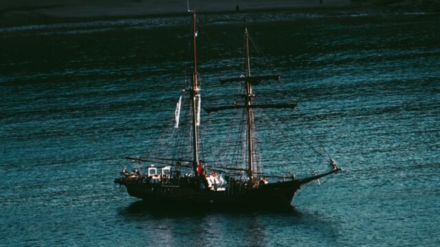 ワンピースのゼウスは死亡した