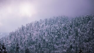 二瓶鉄造の死亡は4巻29話