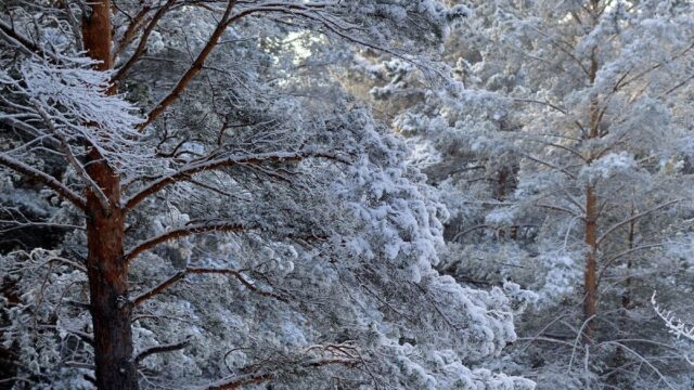 二階堂浩平の死亡は30巻295話
