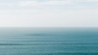ポーネグリフを読めるのはロビンただ1人