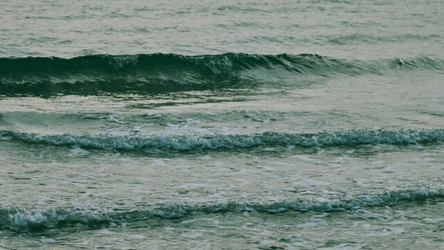ロジャーの剣「エース」は最上大業物12工