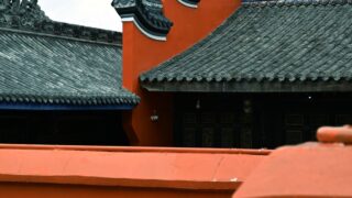 瑠衣（るい）は死亡せず生存