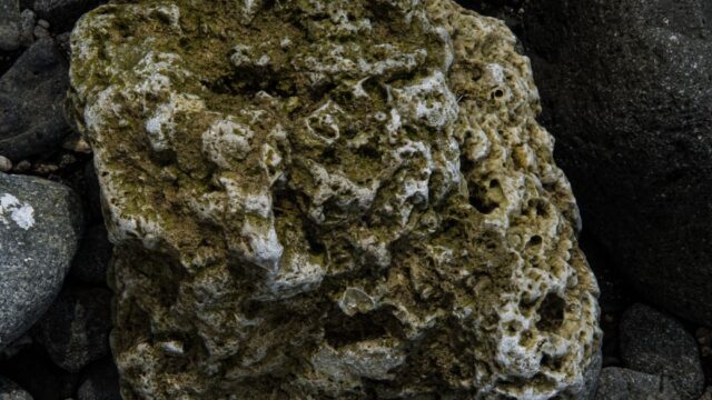 盾の勇者の成り上がりのマインの正体は