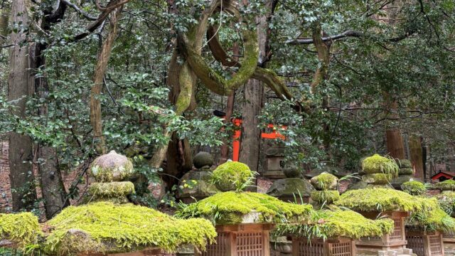 冨岡義勇（とみおかぎゆう）の最後は死亡しない！失ったのは右腕・生き残った柱2人と痣の寿命説