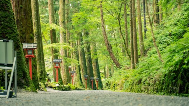 鱗滝左近次（うろこだきさこんじ）とは