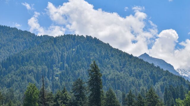 牛山辰馬の死亡は31巻307話