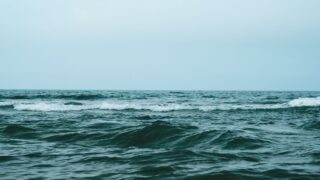 ウエストブルー（西の海）出身はロビンとシャンクス
