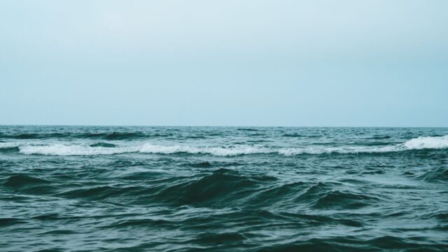 ウエストブルー（西の海）出身はロビンとシャンクス