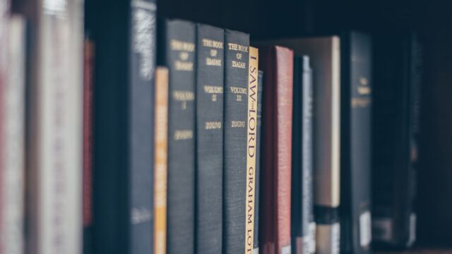 氷の城壁のあらすじは