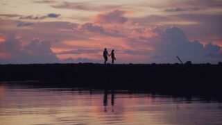 氷の城壁の陽太と美姫は付き合う
